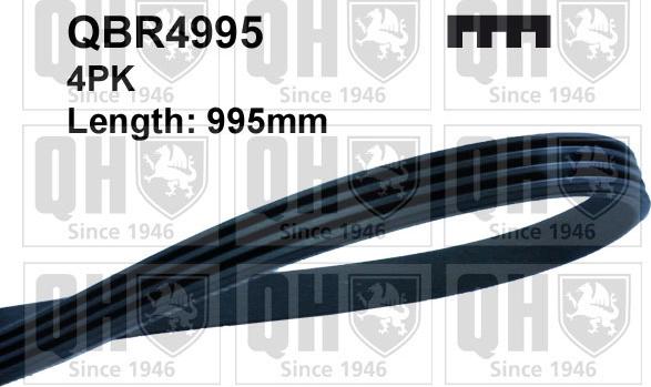 Quinton Hazell QBR4995 - Пистов ремък vvparts.bg