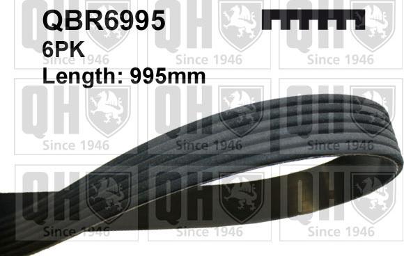 Quinton Hazell QBR6995 - Пистов ремък vvparts.bg