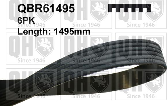 Quinton Hazell QBR61495 - Пистов ремък vvparts.bg