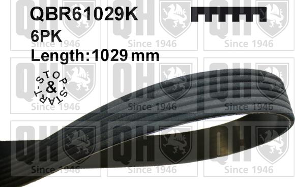 Quinton Hazell QBR61029K - Пистов ремък vvparts.bg