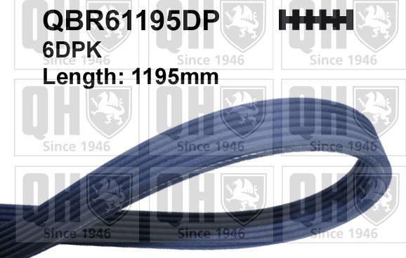 Quinton Hazell QBR61195DP - Пистов ремък vvparts.bg