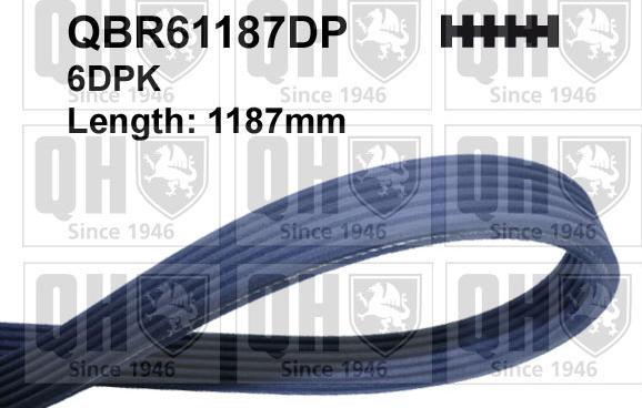 Quinton Hazell QBR61187DP - Пистов ремък vvparts.bg