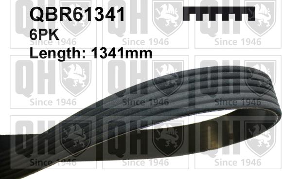 Quinton Hazell QBR61341 - Пистов ремък vvparts.bg