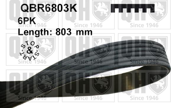 Quinton Hazell QBR6803K - Пистов ремък vvparts.bg