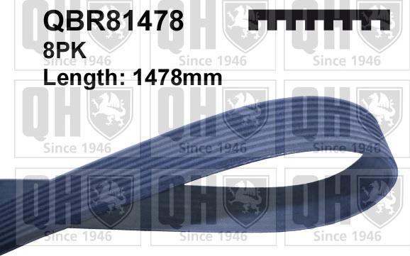 Quinton Hazell QBR81478 - Пистов ремък vvparts.bg