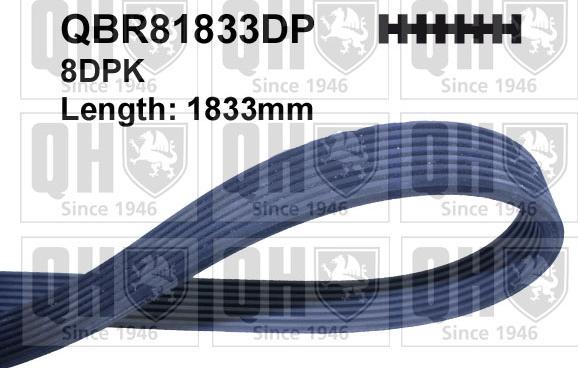 Quinton Hazell QBR81833DP - Пистов ремък vvparts.bg