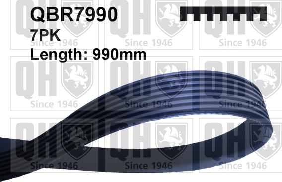 Quinton Hazell QBR7990 - Пистов ремък vvparts.bg