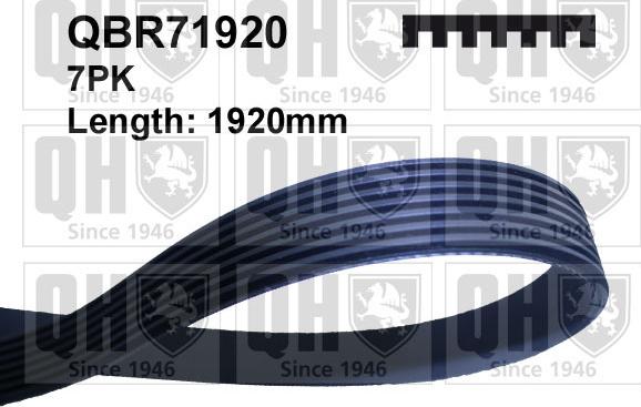 Quinton Hazell QBR71920 - Пистов ремък vvparts.bg