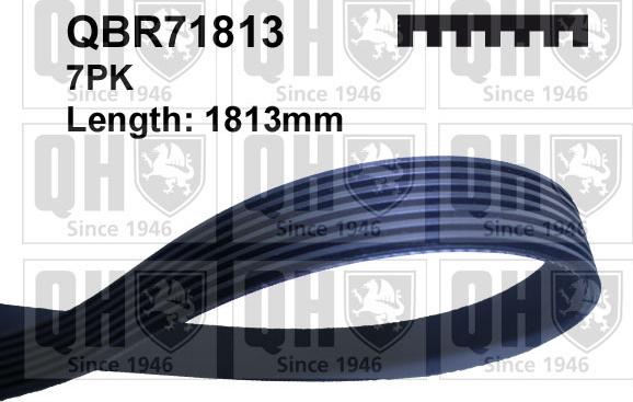 Quinton Hazell QBR71813 - Пистов ремък vvparts.bg