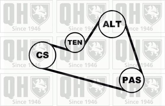 Quinton Hazell QDK41 - Комплект пистов ремък vvparts.bg