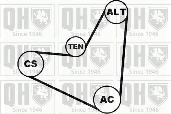 Quinton Hazell QDK41 - Комплект пистов ремък vvparts.bg