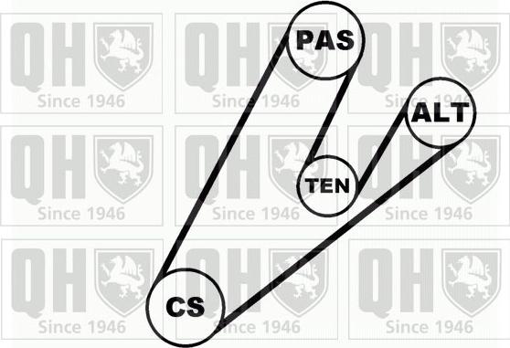 Quinton Hazell QDK55 - Комплект пистов ремък vvparts.bg