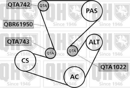 Quinton Hazell QDK66 - Комплект пистов ремък vvparts.bg