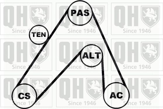 Quinton Hazell QDK63 - Комплект пистов ремък vvparts.bg