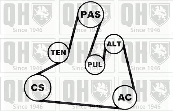 Quinton Hazell QDK67 - Комплект пистов ремък vvparts.bg