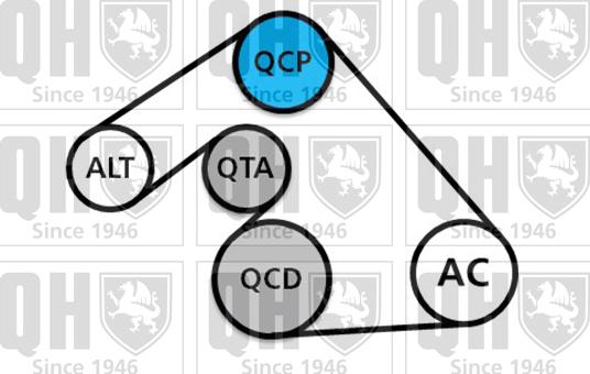 Quinton Hazell QDK121 - Комплект пистов ремък vvparts.bg