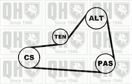 Quinton Hazell QDK18 - Комплект пистов ремък vvparts.bg