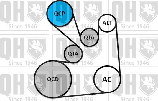 Quinton Hazell QDK130 - Комплект пистов ремък vvparts.bg