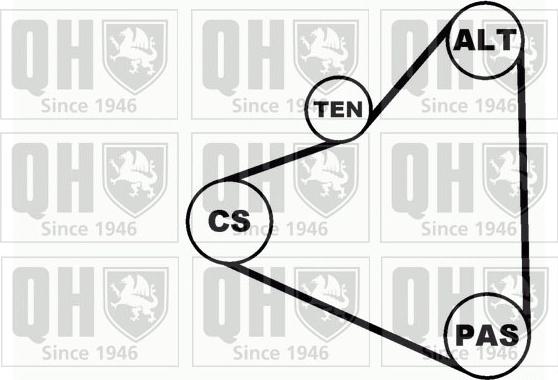 Quinton Hazell QDK14 - Комплект пистов ремък vvparts.bg
