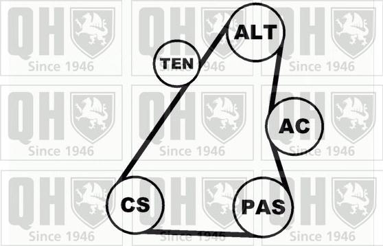 Quinton Hazell QDK35 - Комплект пистов ремък vvparts.bg