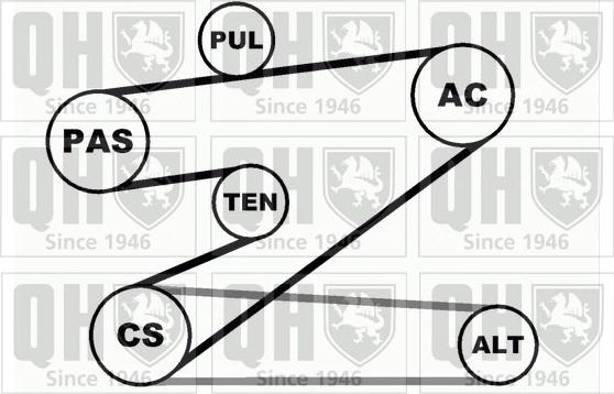 Quinton Hazell QDK30 - Комплект пистов ремък vvparts.bg