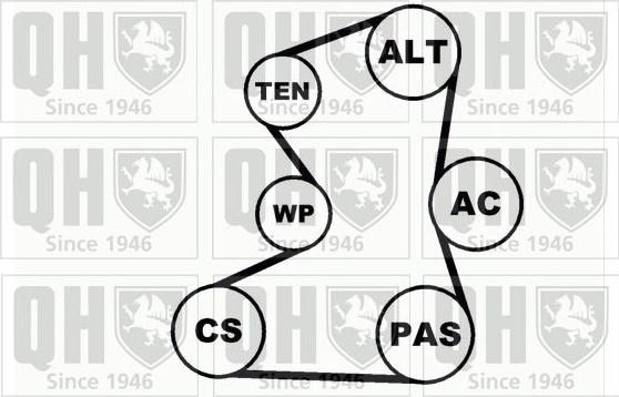 Quinton Hazell QDK31 - Комплект пистов ремък vvparts.bg