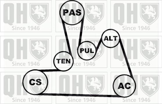 Quinton Hazell QDK31 - Комплект пистов ремък vvparts.bg