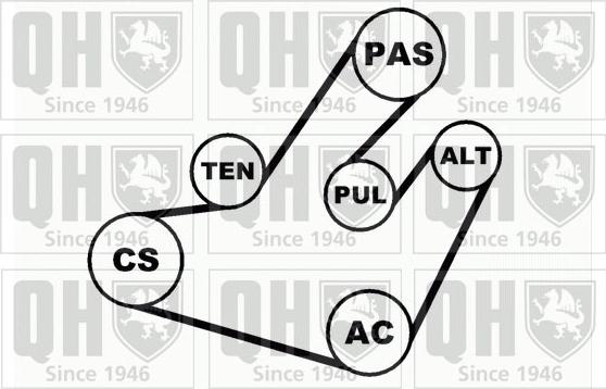 Quinton Hazell QDK31 - Комплект пистов ремък vvparts.bg