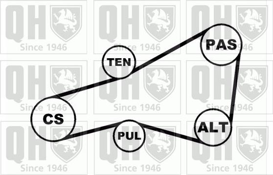 Quinton Hazell QDK33 - Комплект пистов ремък vvparts.bg