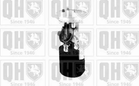 Quinton Hazell QFP738 - Горивопроводен модул (горивна помпа+сонда) vvparts.bg