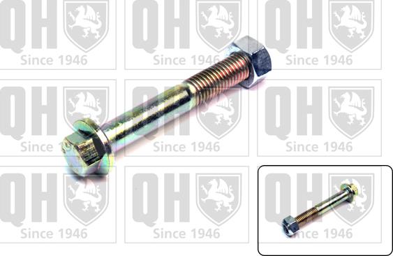 Quinton Hazell QSK259S - Закрепващ болт (щифт), напречна щанга (носач) vvparts.bg