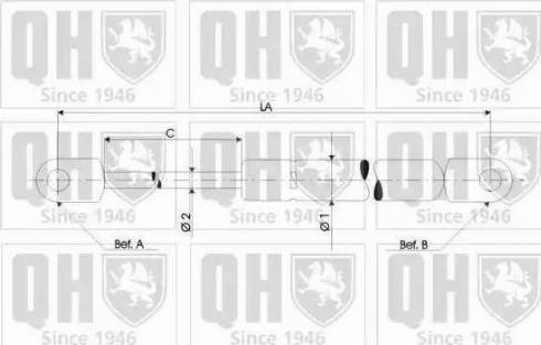 Quinton Hazell QTS840163 - Газов амортисьор, багажно / товарно пространство vvparts.bg