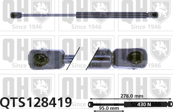 Quinton Hazell QTS128419 - Газов амортисьор, багажно / товарно пространство vvparts.bg