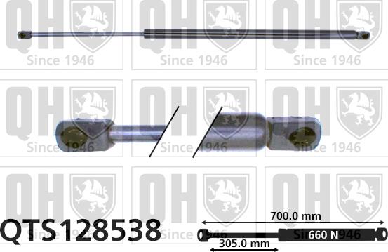 Quinton Hazell QTS128538 - Газов амортисьор, багажно / товарно пространство vvparts.bg