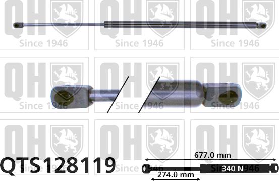 Quinton Hazell QTS128119 - Газов амортисьор, багажно / товарно пространство vvparts.bg