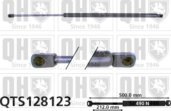 Quinton Hazell QTS128123 - Газов амортисьор, багажно / товарно пространство vvparts.bg