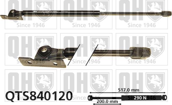 Quinton Hazell QTS840120 - Газов амортисьор, капак на двигателя vvparts.bg