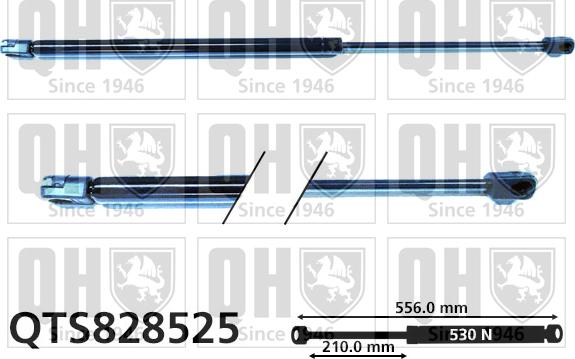 Quinton Hazell QTS828525 - Газов амортисьор, багажно / товарно пространство vvparts.bg