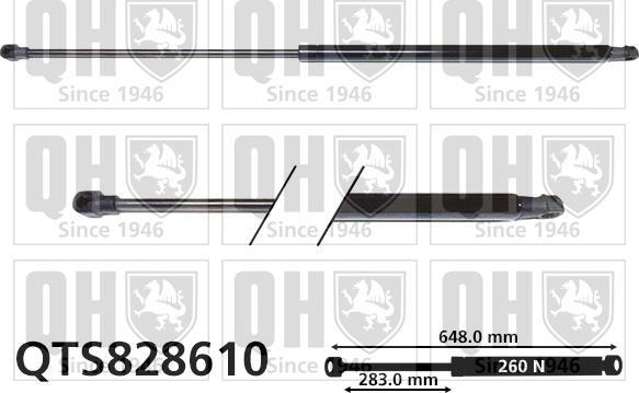 Quinton Hazell QTS828610 - Газов амортисьор, багажно / товарно пространство vvparts.bg