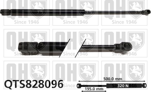 Quinton Hazell QTS828096 - Газов амортисьор, багажно / товарно пространство vvparts.bg