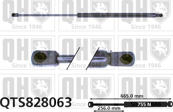 Quinton Hazell QTS828063 - Газов амортисьор, багажно / товарно пространство vvparts.bg