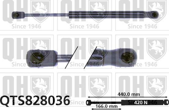 Quinton Hazell QTS828036 - Газов амортисьор, багажно / товарно пространство vvparts.bg