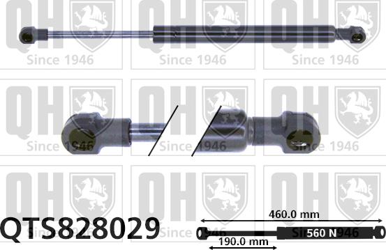 Quinton Hazell QTS828029 - Газов амортисьор, багажно / товарно пространство vvparts.bg