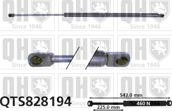 Quinton Hazell QTS828194 - Газов амортисьор, багажно / товарно пространство vvparts.bg