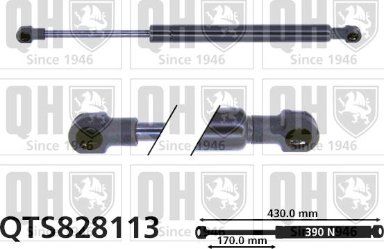 Quinton Hazell QTS828113 - Газов амортисьор, багажно / товарно пространство vvparts.bg