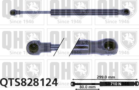 Quinton Hazell QTS828124 - Газов амортисьор, багажно / товарно пространство vvparts.bg