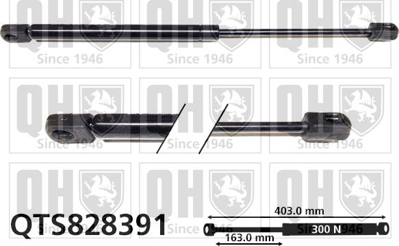 Quinton Hazell QTS828391 - Газов амортисьор, багажно / товарно пространство vvparts.bg