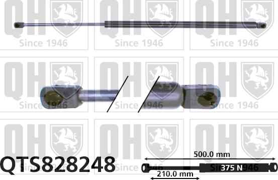 Quinton Hazell QTS828248 - Газов амортисьор, багажно / товарно пространство vvparts.bg