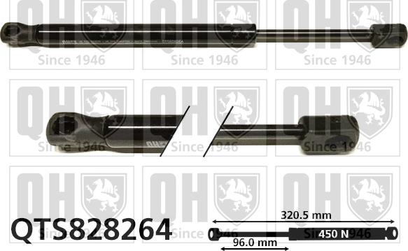 Quinton Hazell QTS828264 - Газов амортисьор, багажно / товарно пространство vvparts.bg