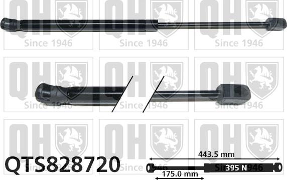 Quinton Hazell QTS828720 - Газов амортисьор, багажно / товарно пространство vvparts.bg